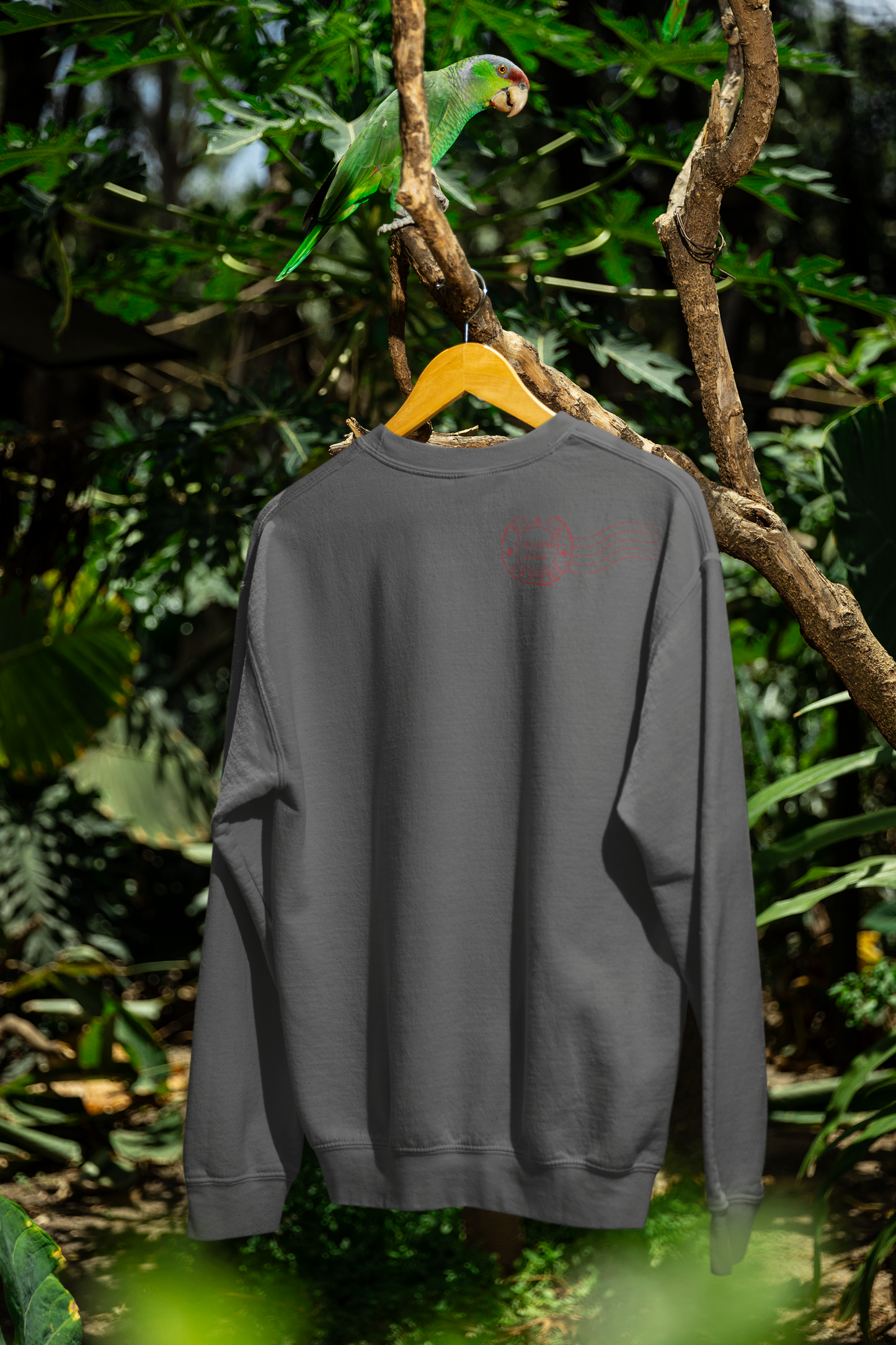 Roots of Terror – They Hung Him Here -(Sweatshirt)  Lynching Postcards Collection